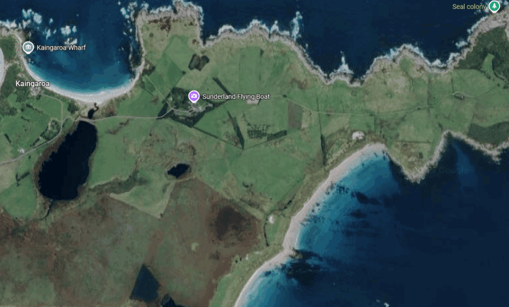 chatham island seal coloney